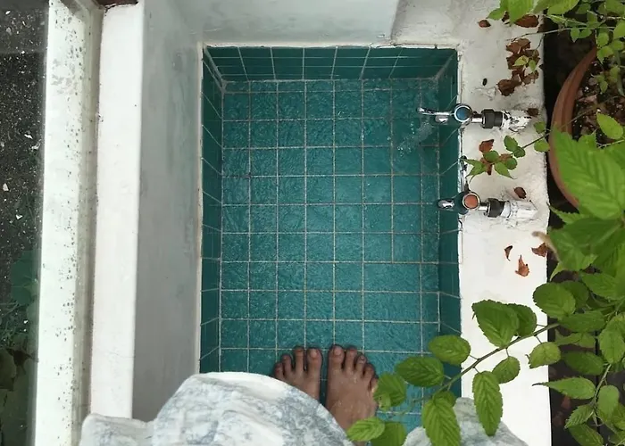 청학태평 *